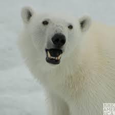 Code Onigiri Code Onigiri Github - Modern High Resolution Space Pictures | Free Download