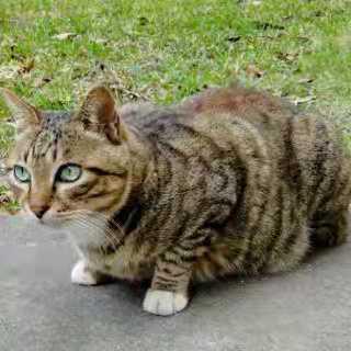 Github Joaquinchou Opencv4 Tutorials - 4K Minimal Wallpapers for Desktop