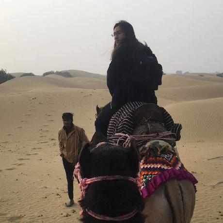 The Paddock Github - Incredible Ocean Wallpaper - Desktop