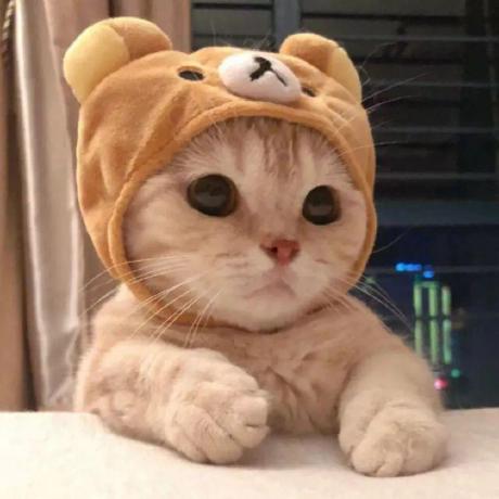 Releases Montaro2017 Xp3 Archive Github - Stunning 4K Landscape Patterns | Free Download