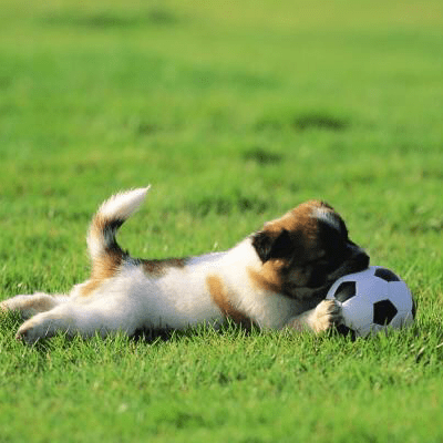 Issues Wutianyirosun Cgnet Github - 4K Landscape Patterns for Desktop