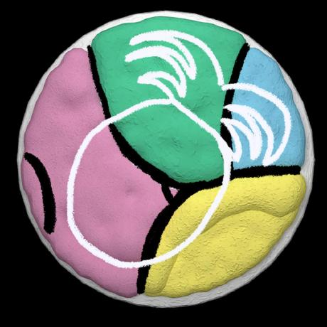 Github Spintacle123 Datesfruitph - Light Design Collection - High Resolution Quality