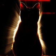 Miraclecontainer Miracle Github - Best Ocean Arts in Retina