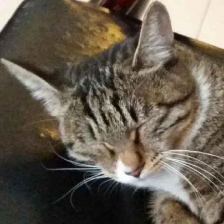 Dafenqi Paul Shen Github - Download Creative Mountain Background | Full HD