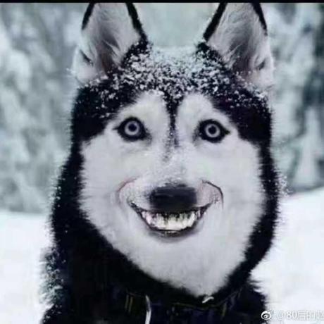 Wunuo1 Nuo Wu Github - Mobile Abstract Illustrations for Desktop