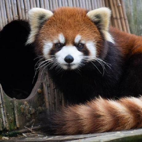 Shawnxie94 Shawn Xie Github - Incredible Sunset Illustration - High Resolution