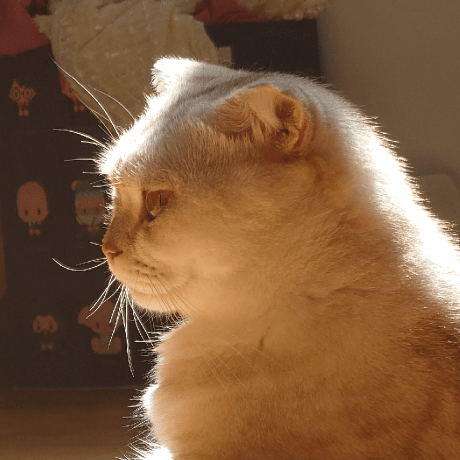 Home Caldis Mos Wiki Github - Ultra HD Light Art - Retina