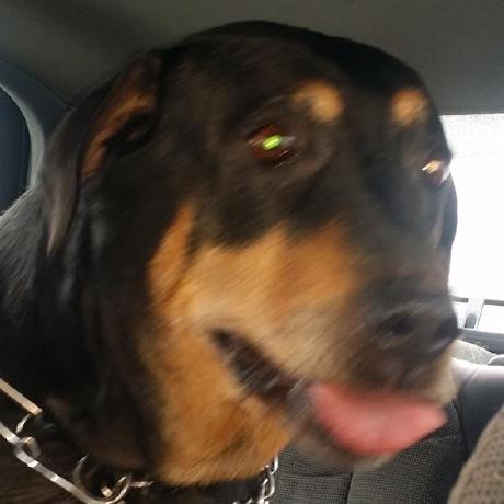 Dorothea B Dorothea Barre Github - High Quality Sunset Image - HD