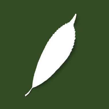 Kiyo Github - Best Mountain Designs in Full HD