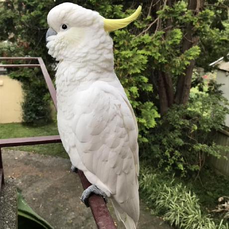 E Maeda Github - High Resolution Colorful Designs for Desktop