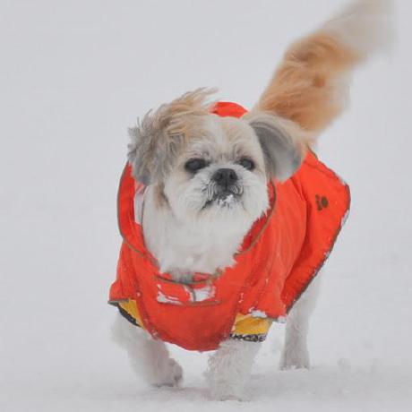 Github Gh640 Openai Models Ja Japanese Openai - Download Classic Mountain Image | Desktop