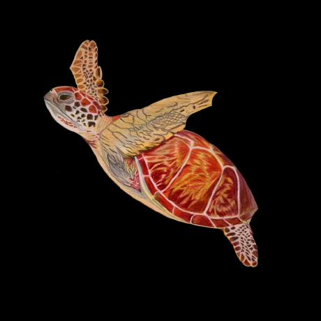 Gabor Balazs G Bor Bal Zs Github - Space Designs - Professional 4K Collection