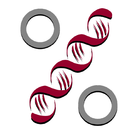 Biological Data Science Umons Course Github