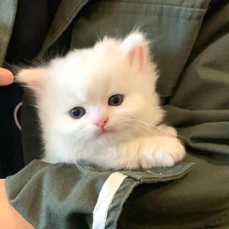 Ikura Hamu Ikura Hamu Github - Ocean Textures - Creative HD Collection