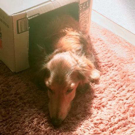 Hk To Ryusuke Hokuto Github - Modern Abstract Design - High Resolution