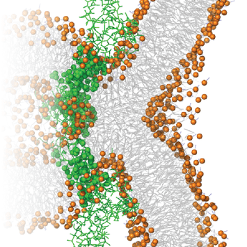 Github Kassonlab Brer Plugin - Download Artistic Gradient Illustration | Full HD