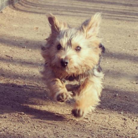 Github Terrierscript Example Bounce Animation - Best Nature Designs in High Resolution