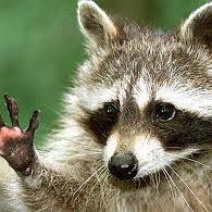 Thomasweinert Thomas Weinert Github - Space Illustration Collection - Retina Quality