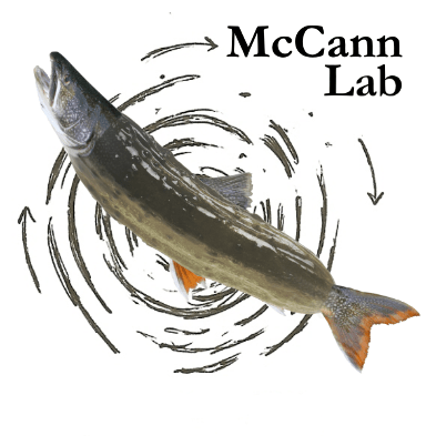 Ecology Mccann Lab - Elegant City Design - Mobile