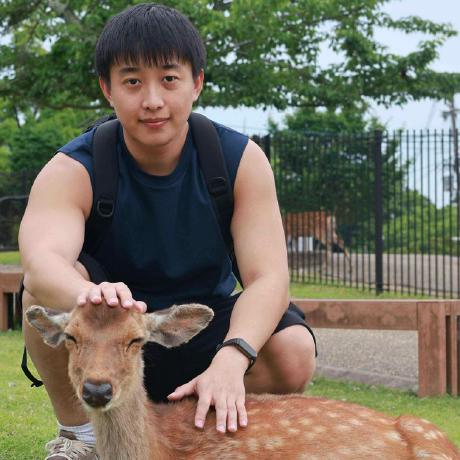 Yanying Li Github - Colorful Patterns - Stunning 4K Collection