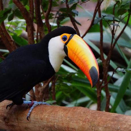 Shohei0371 Shohei Github - Amazing Sunset Background - Ultra HD