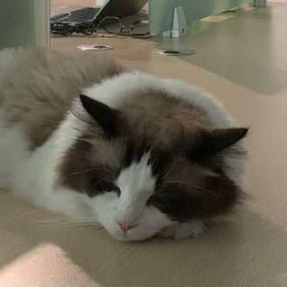 Github Steinwei Steinwei Github Io - Abstract Textures - Gorgeous Retina Collection