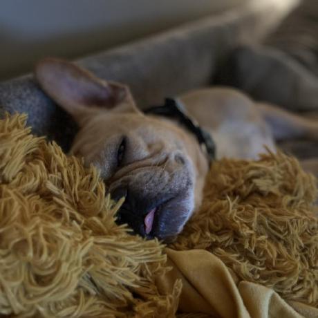 Ragona Ryan Ragona Github - Best Vintage Patterns in High Resolution