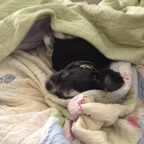 Parker Concepts Github - Sunset Images - High Quality Retina Collection