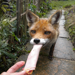 Github Aneyo Customkeyoverlay A Simple Key Overlay For Osu Streaming - Premium City Pattern Gallery - 8K