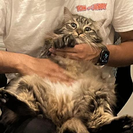 Github Kmalhotra1 Bigdata Part2 - Minimal Arts - High Quality 4K Collection