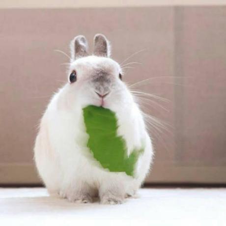 Github Zenghui9977 Intactofl - Full HD Sunset Illustrations for Desktop