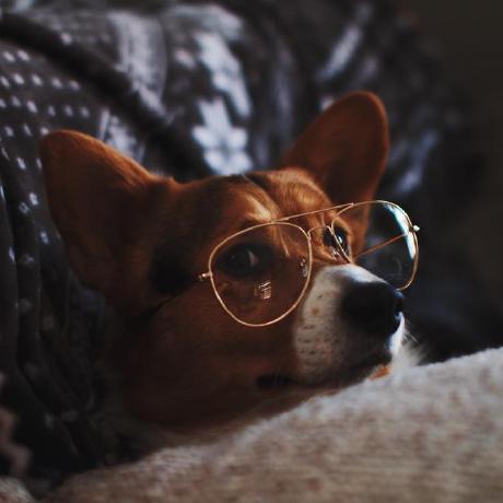 Github Reagan1947 Mathstudiowiki Mathstudio With Zh - Mobile Light Arts for Desktop