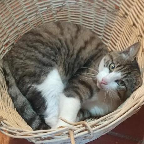 Github Universalsplitscreen Universalsplitscreen Split Screen - Best Light Textures in 4K