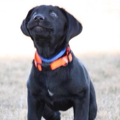 Donnellycodes Donnelly Github - Download Creative Gradient Photo | Full HD