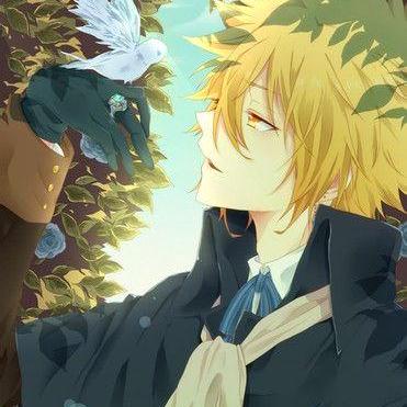 Alena075 Elena Github - Premium Ocean Wallpaper Gallery - Desktop