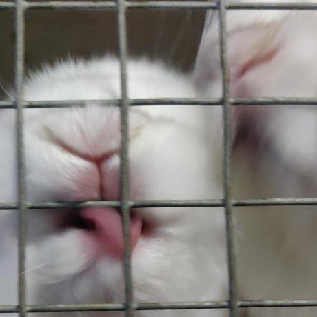 Berndartmueller Bernd Github - Colorful Wallpaper Collection - HD Quality