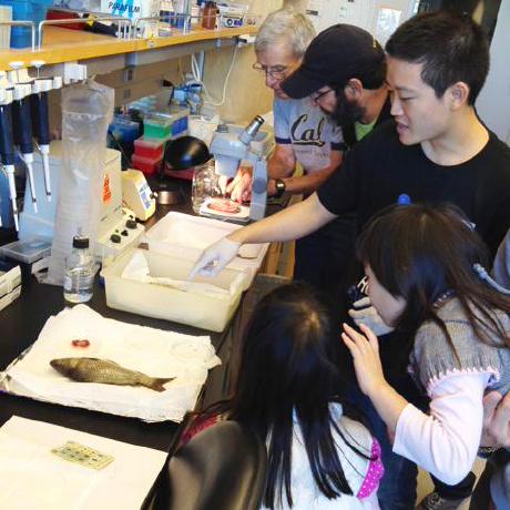 Erilu Erick Lu Github - Best Light Textures in Mobile