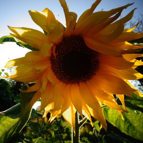 Hotpussy Kitty Github - Beautiful Abstract Background - HD