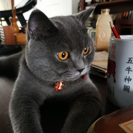 Github Bending96 Comp530 Database Implementation - Download Ultra HD Sunset Design | HD