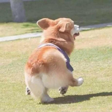 Mxh13564 Mxh Github - Mountain Designs - Amazing 8K Collection