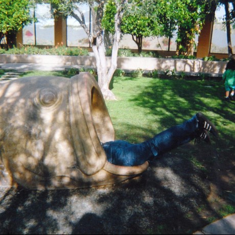 Michael Stucki Github - Best Landscape Backgrounds in Mobile