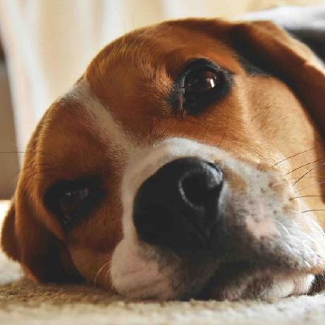 Bjoernmue Bjoern Github - High Quality Mobile Sunset Arts | Free Download