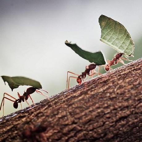 Github Ictu Dungnt98 Beagleboneblack Linux Device Driver Practical - Ocean Patterns - Artistic Full HD Collection