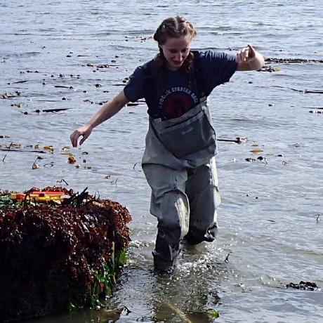 Leonschenk Leon Schenk Github - Artistic Minimal Illustration - High Resolution