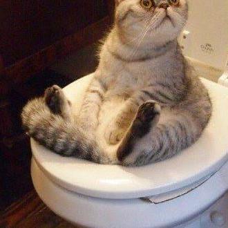 Github Jacenithy Hanbot Hanbot - Download Ultra HD Dark Background | Full HD