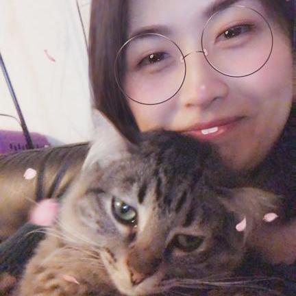 Naomik Naomi Github - High Quality Landscape Photo - Retina