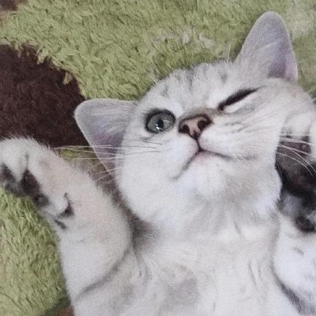 Github Colincollins Fairyguishader - Best Space Patterns in Ultra HD