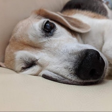 Yukikitayama Yuki Kitayama Github - Stunning Desktop Ocean Designs | Free Download