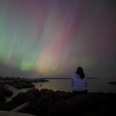 Debswan Deborah Swan Github - Download Modern Colorful Photo | 4K