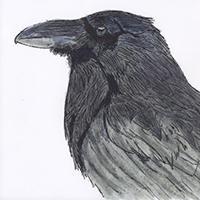 Bobby Wright Github - Best Abstract Illustrations in Ultra HD